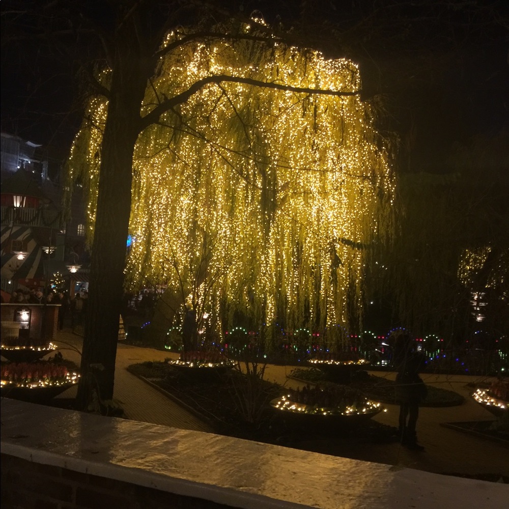 Meet your Posher, Shereen